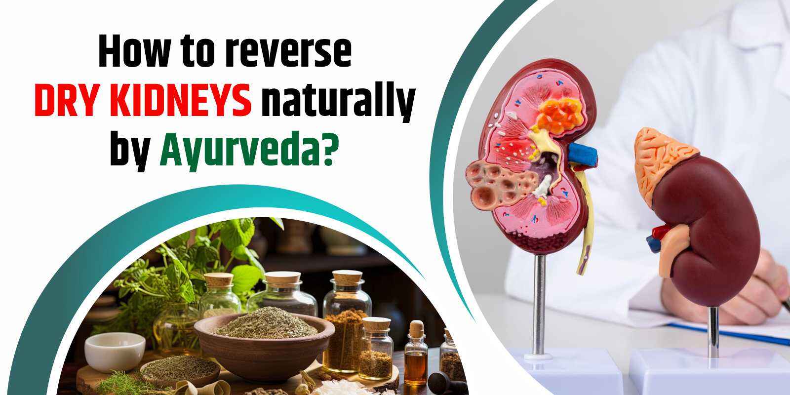 How to reverse dry kidneys naturally by Ayurveda